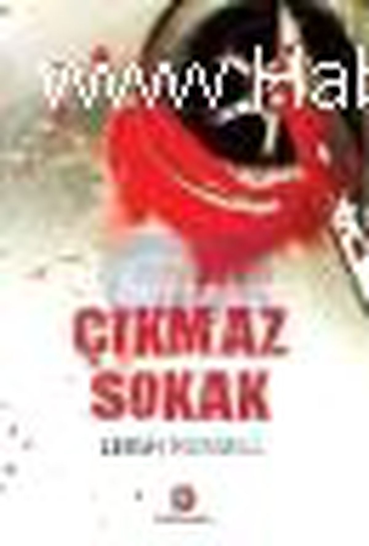 Çıkmaz Sokak Kitabı