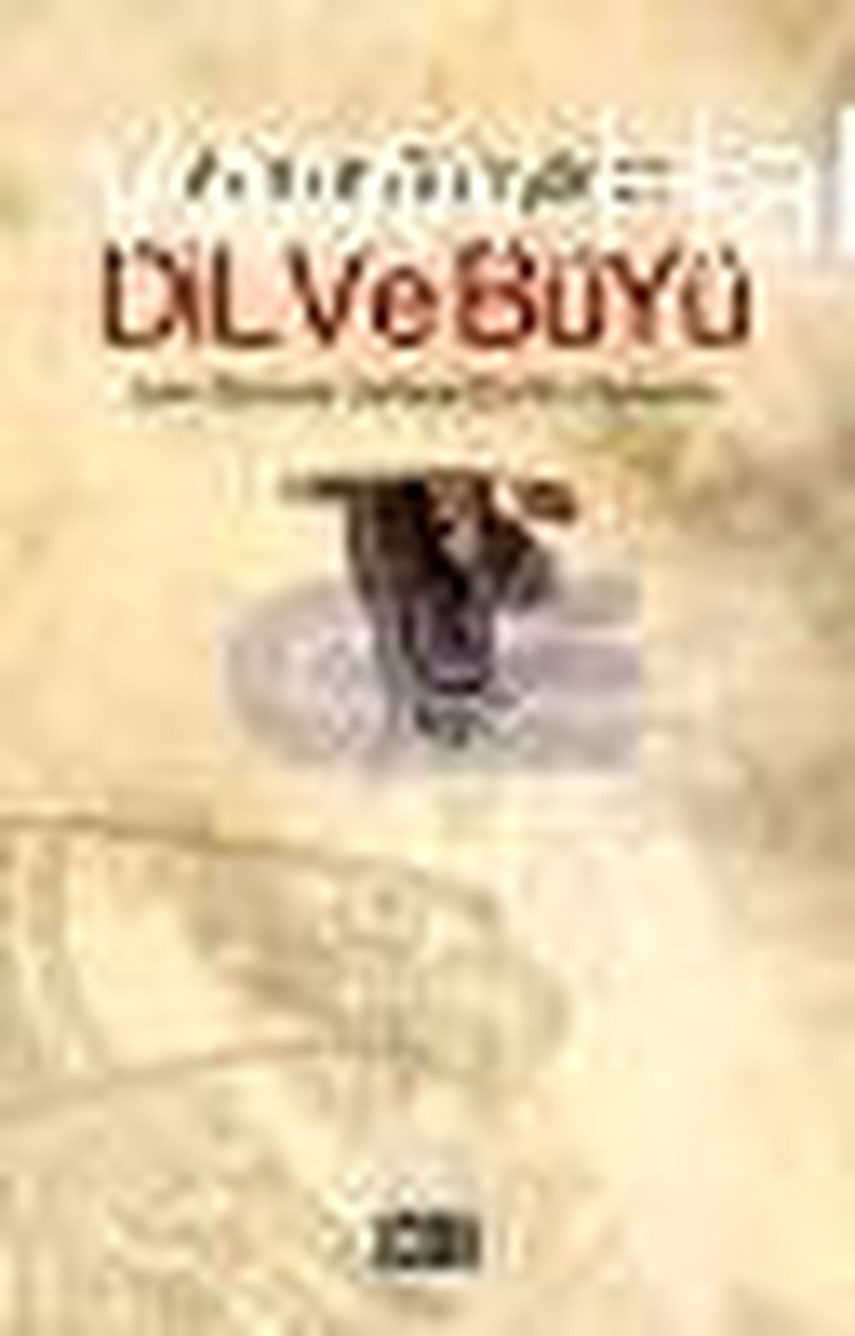 Dil ve Büyü Kitabı