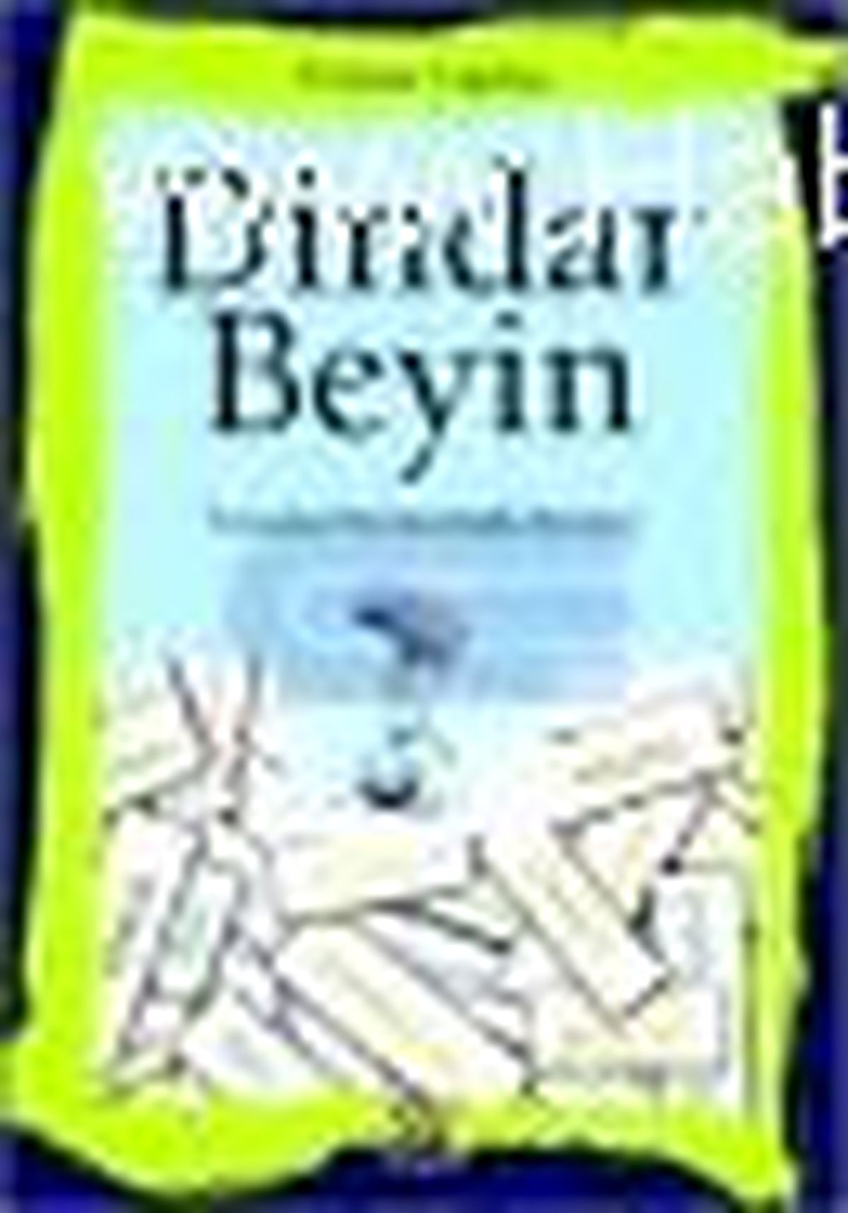 Dindar Beyin Kitabı