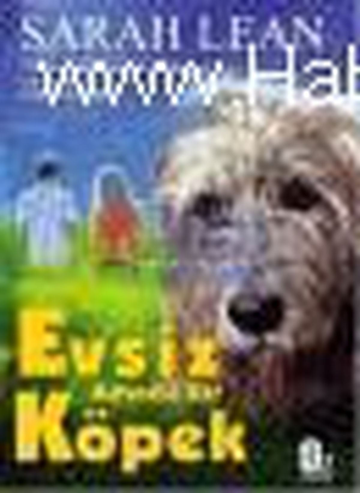 Evsiz Adında Bir Köpek Kitabı