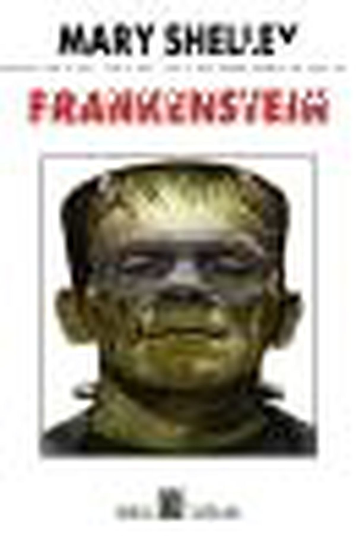 Frankenstein Kitabı