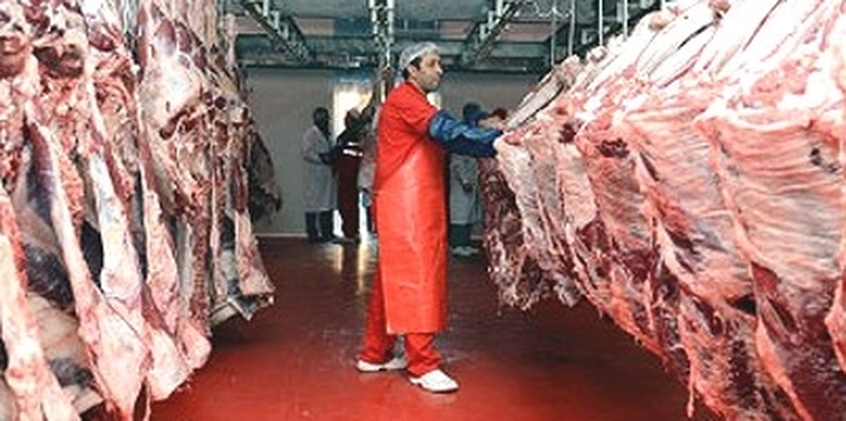 Gıda İşletmeleri Belgelerini 31 Aralık\'a Kadar Değiştirecek