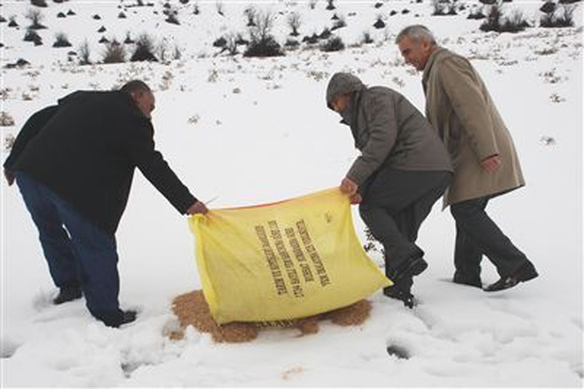 Kuşlar İçin Doğaya Yem Bırakıldı