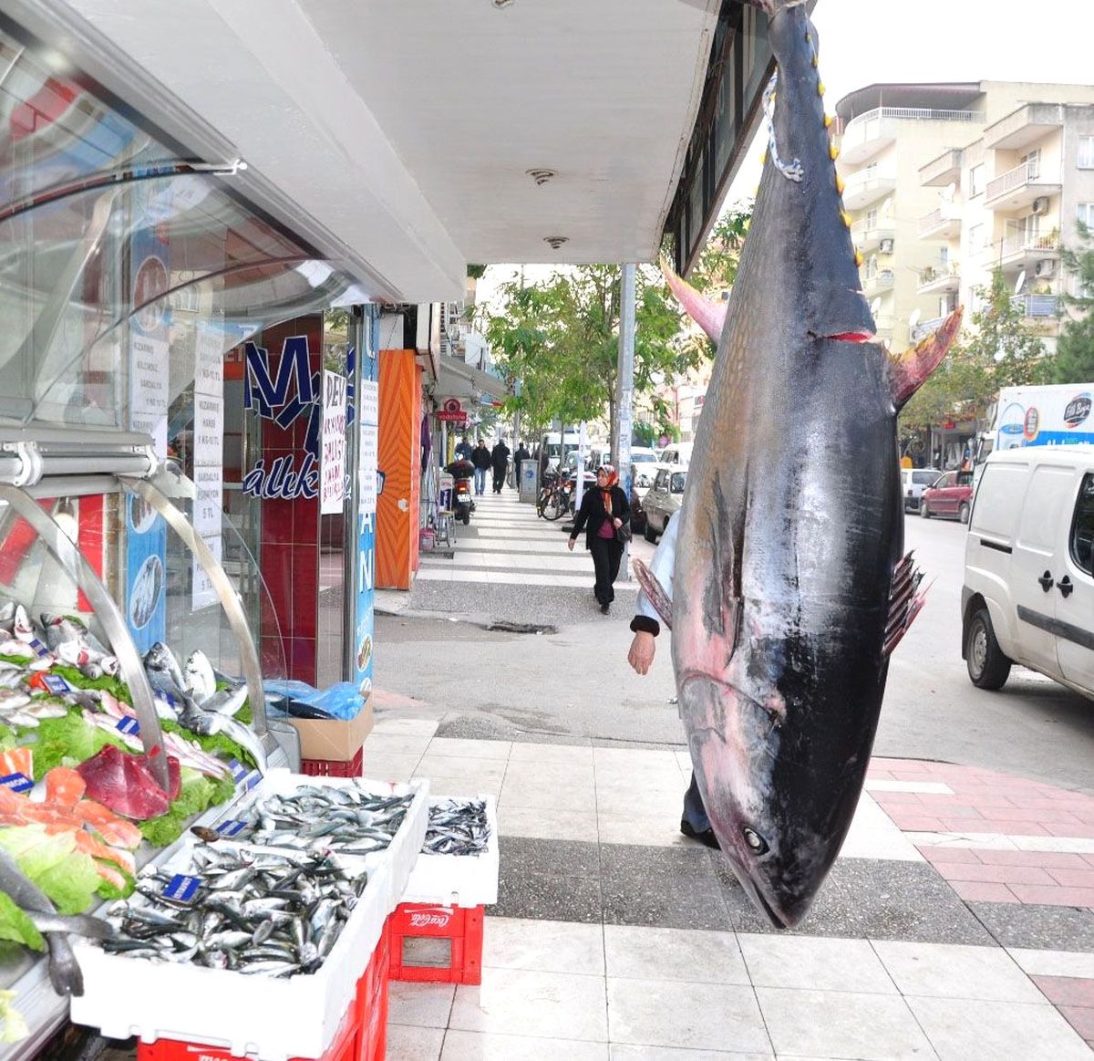 Marmaris\'te Orkinos Bereketi Yaşandı