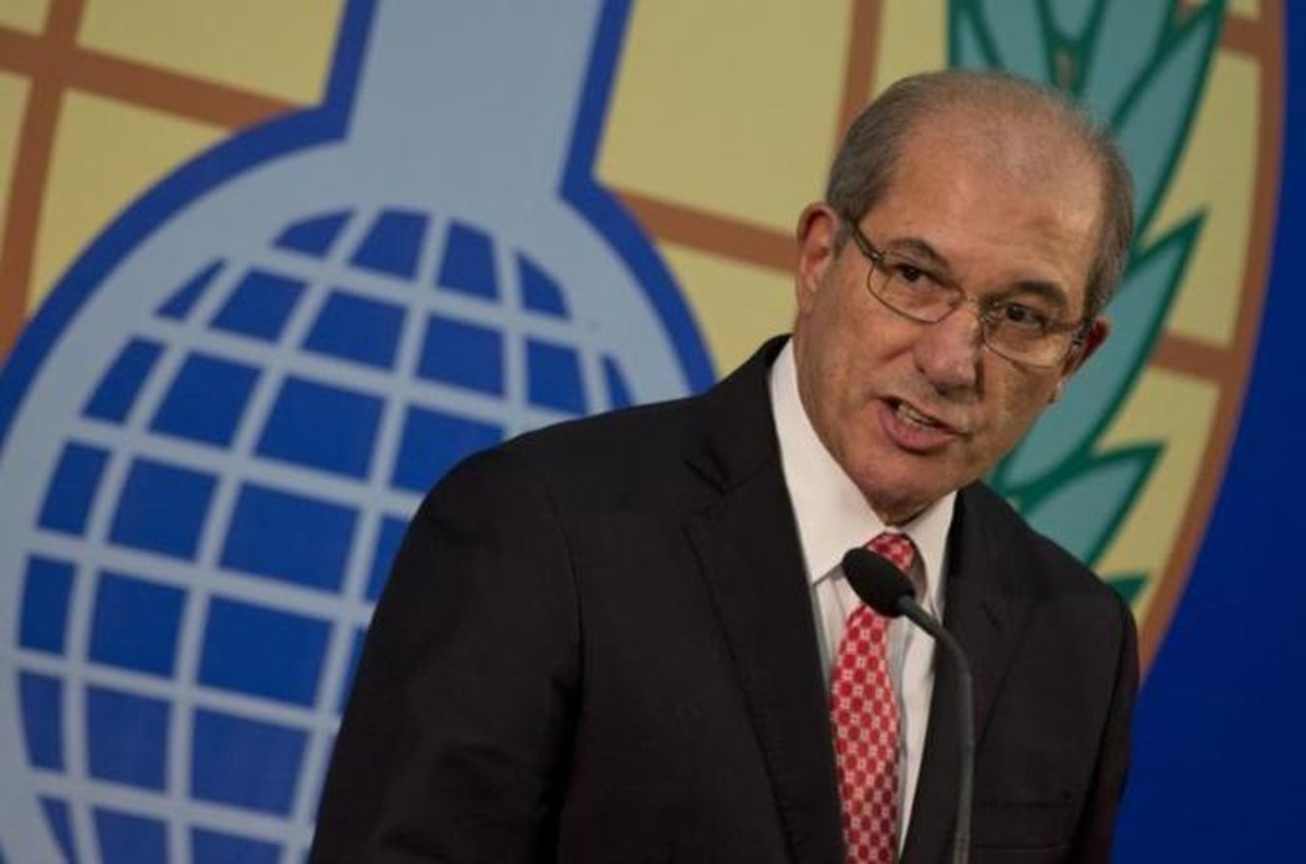 Opcw Başkanı Üzümcü: "Suriye\'deki Kimyasal Silahların İmhası Gecikebilir"