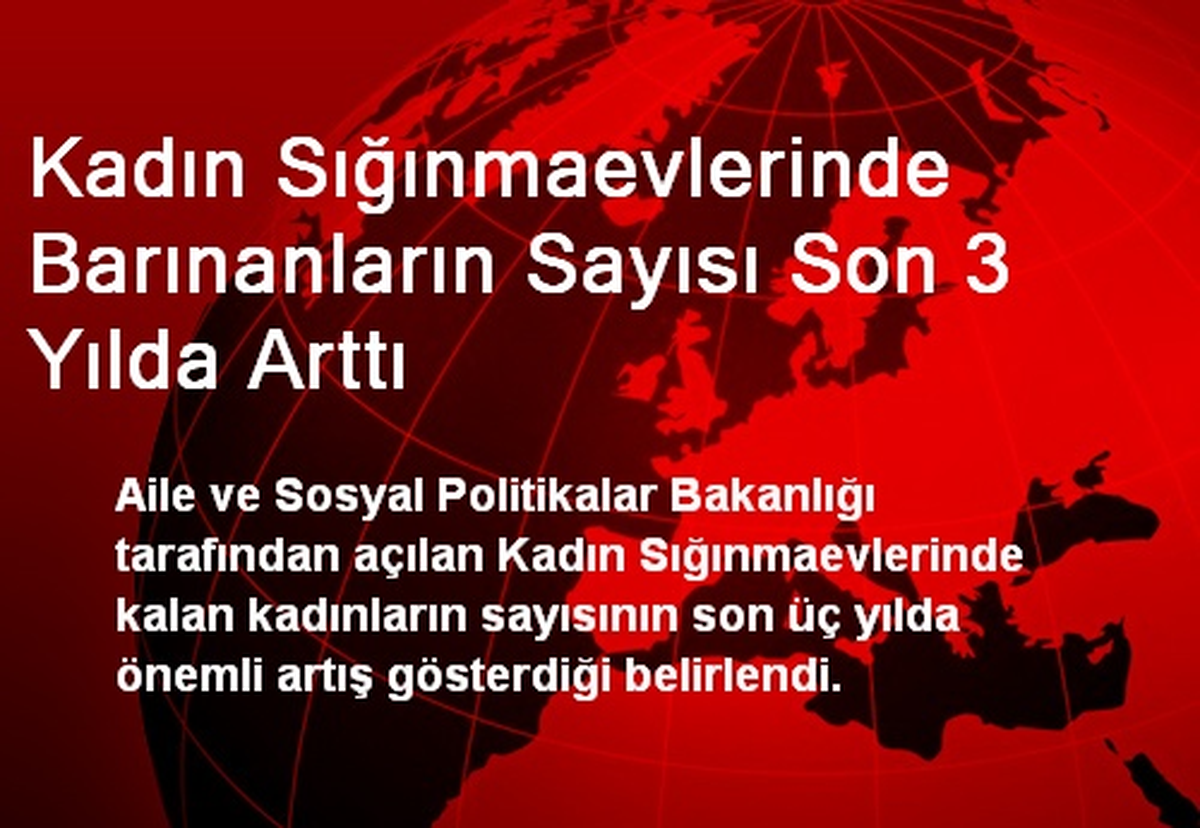 Kadın Sığınmaevlerinde Barınanların Sayısı Son 3 Yılda Arttı