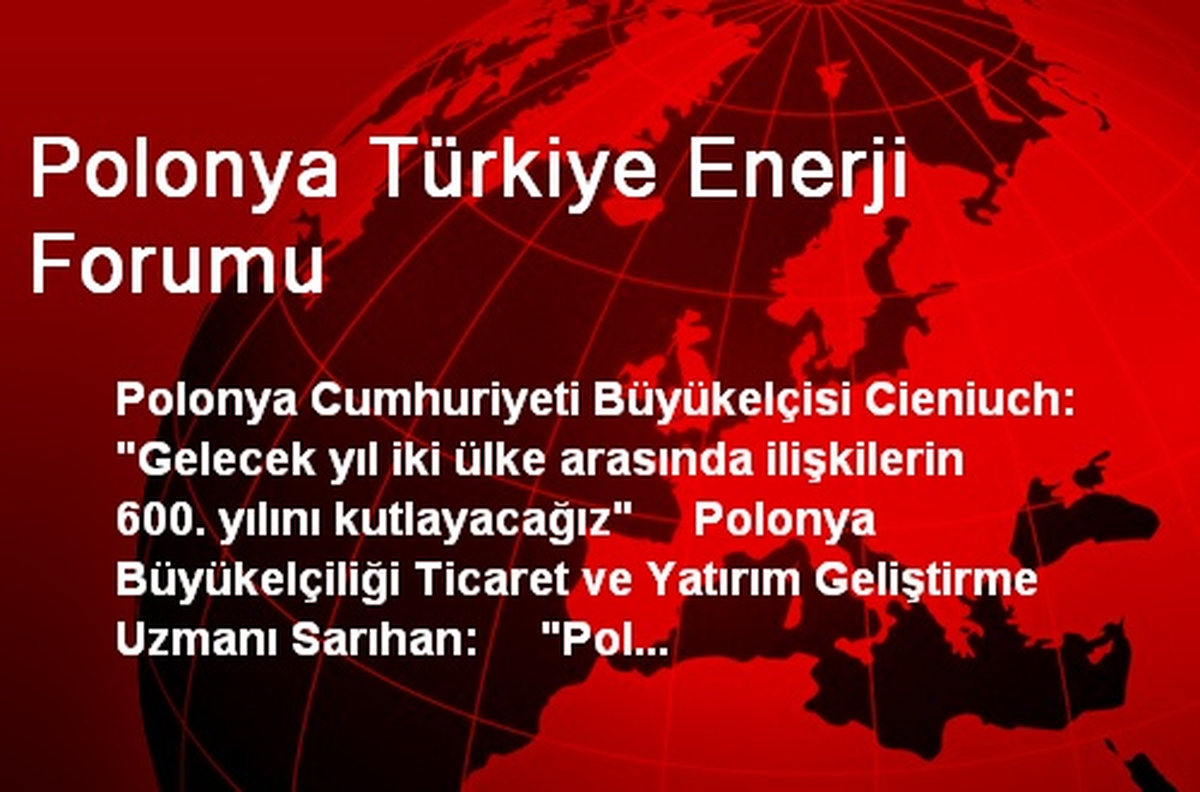 Polonya Türkiye Enerji Forumu