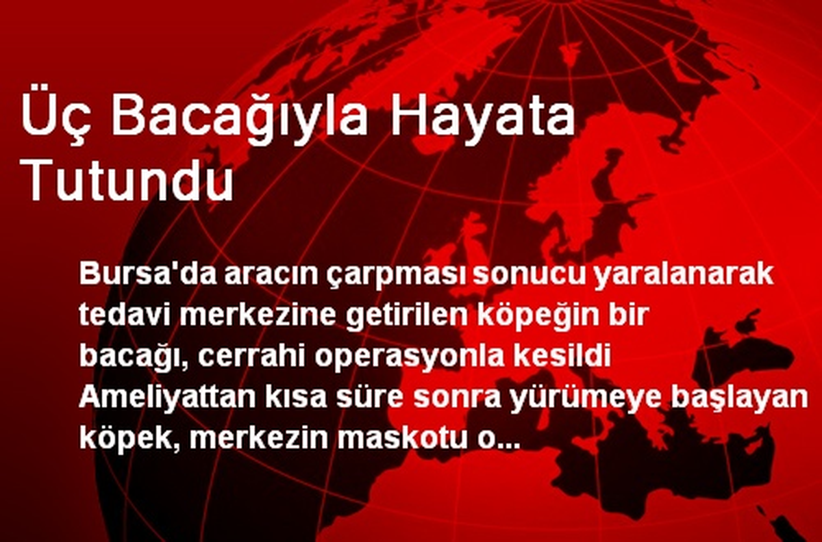Üç Bacağıyla Hayata Tutundu