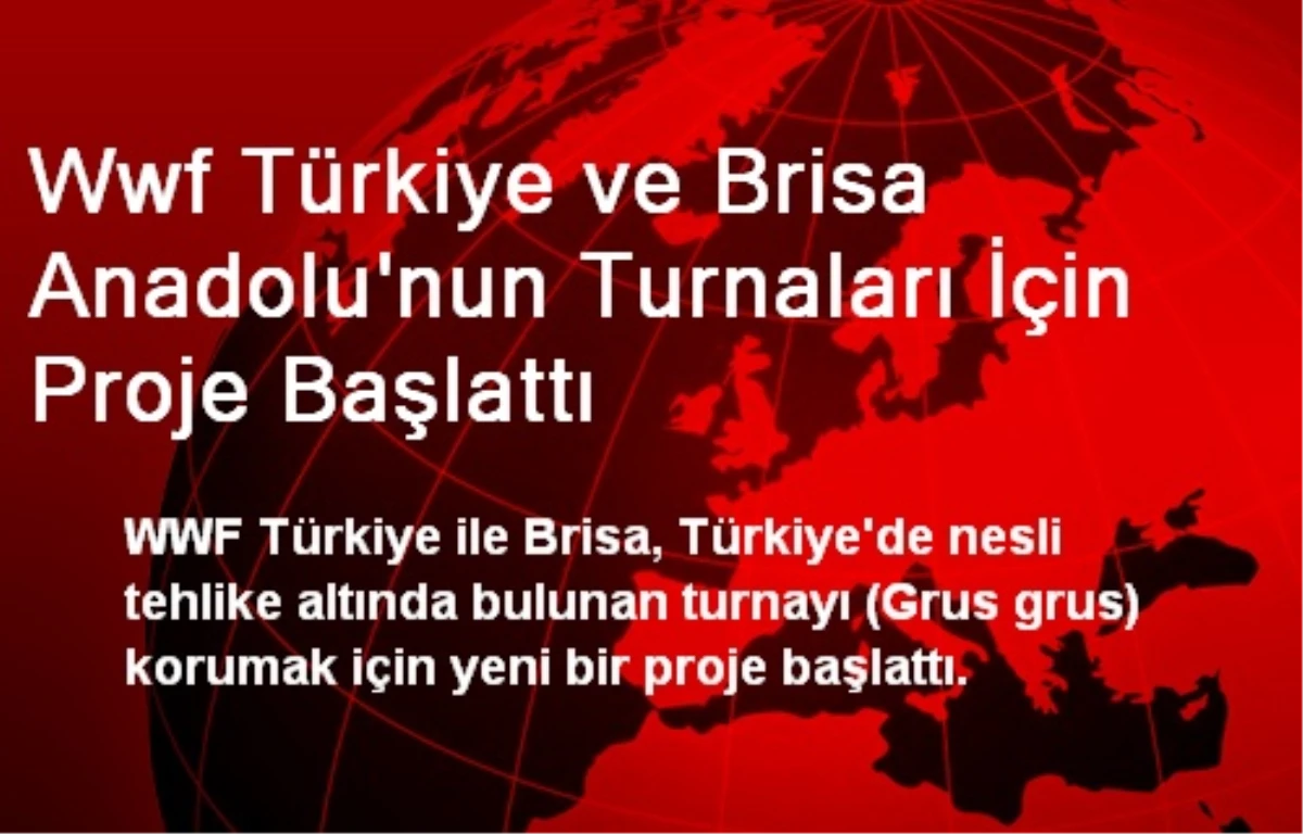 Wwf Türkiye ve Brisa Anadolu\'nun Turnaları İçin Proje Başlattı