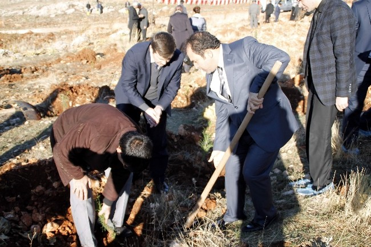 Sağlıkçılar Fidan Dikti