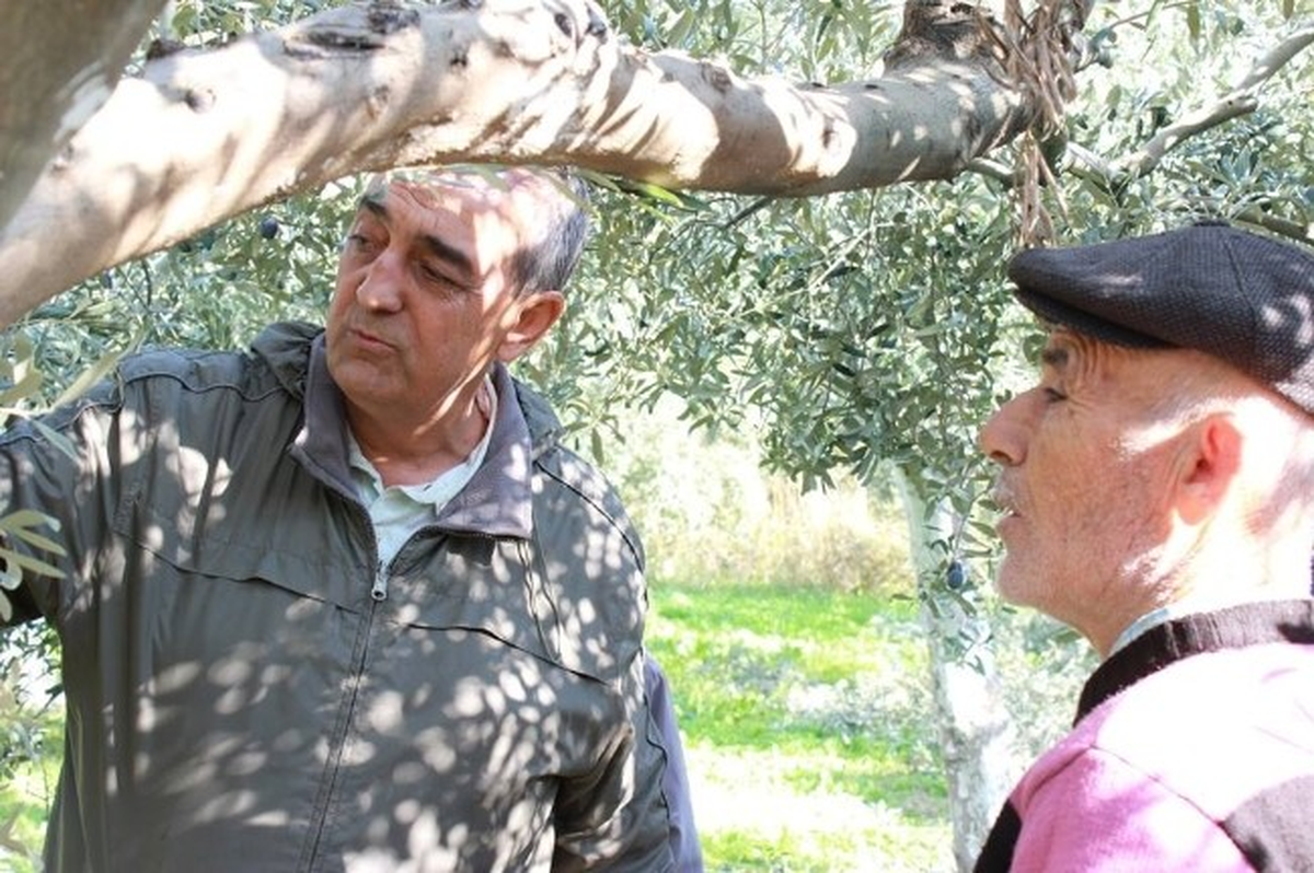 Tüm Çiftçilere Danışmanlık Yapıyor