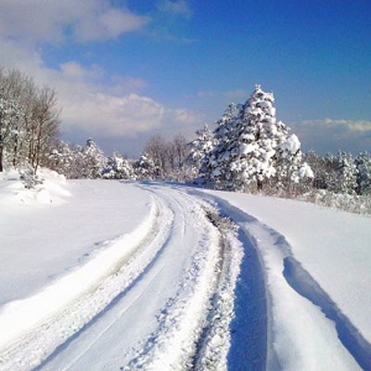Zonguldak\'ta 92 Köy Yolu Ulaşıma Kapandı