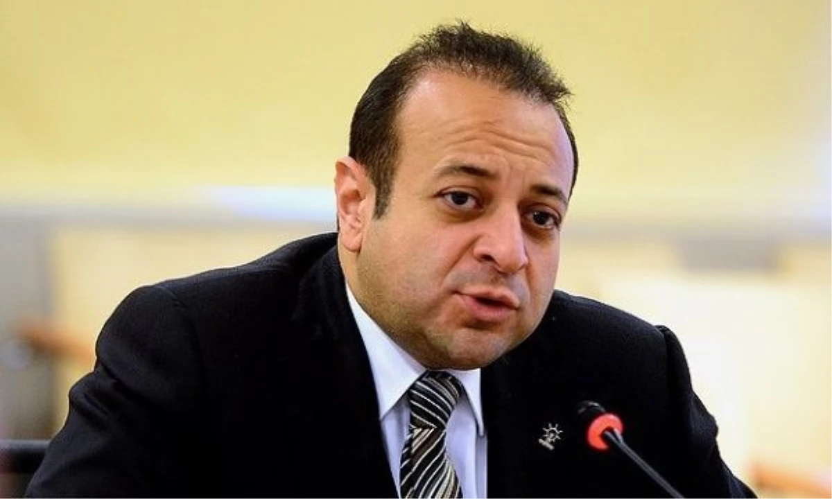 AB Bakanı Bağış, Balbay\'ın Tahliye Kararını Değerlendirdi