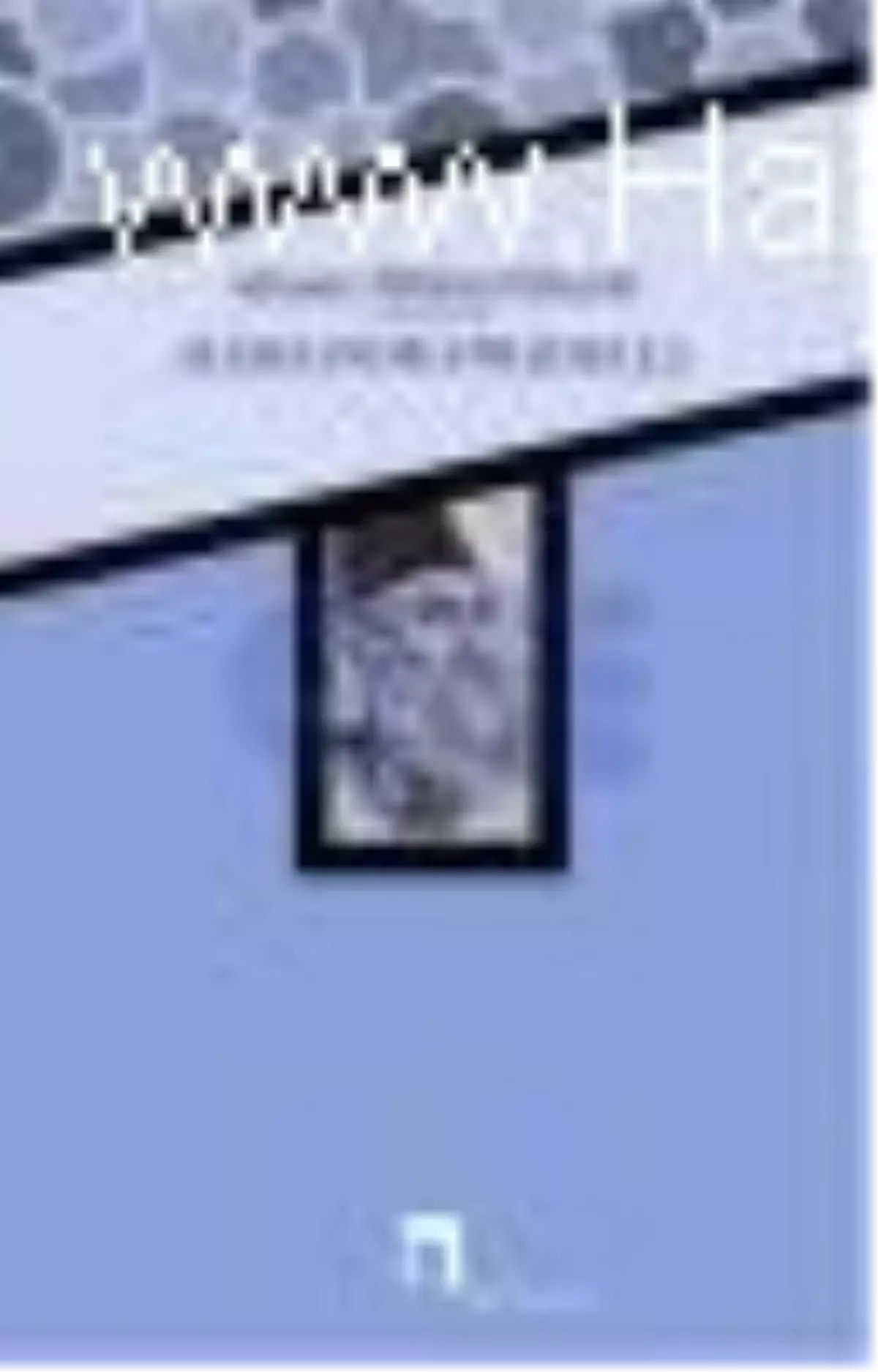 Aleksandr Stradella Kitabı