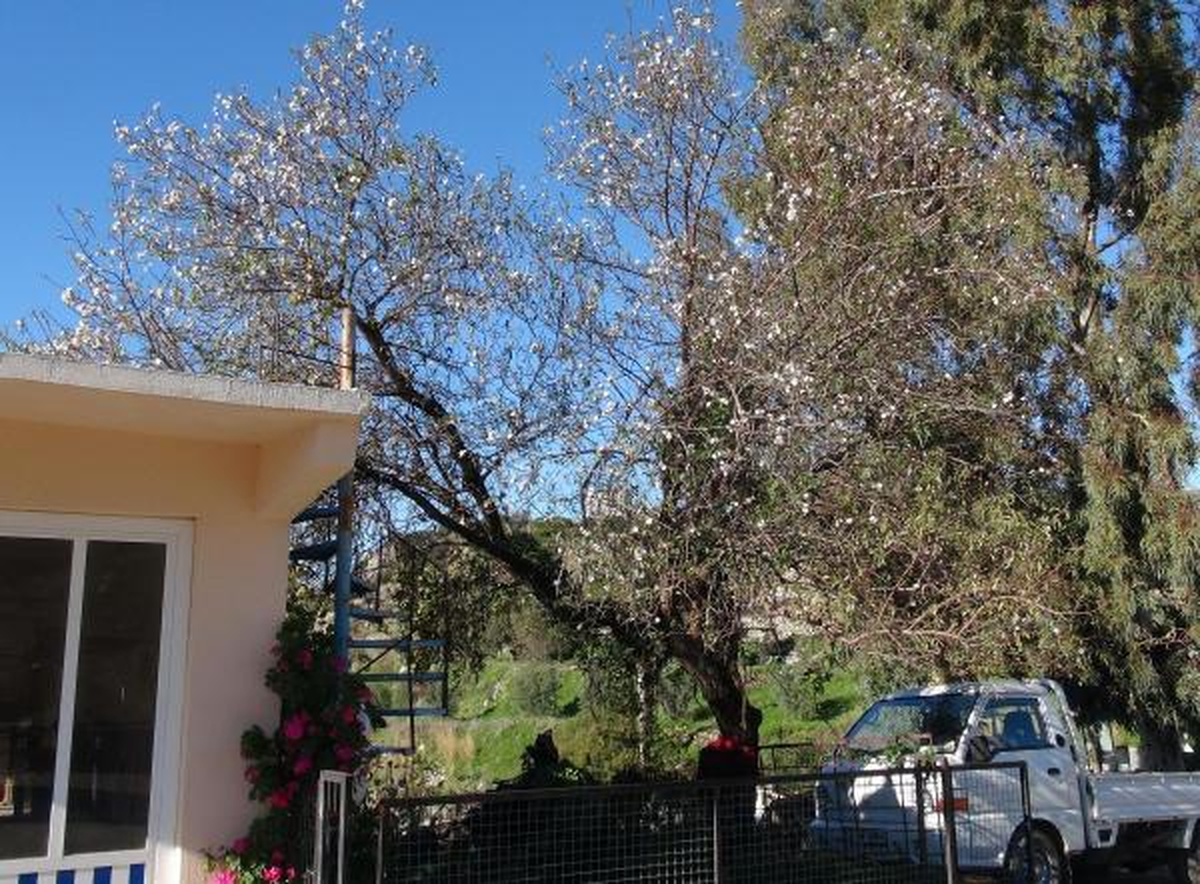 Anadolu\'da Kar, Marmaris\'te Bahar