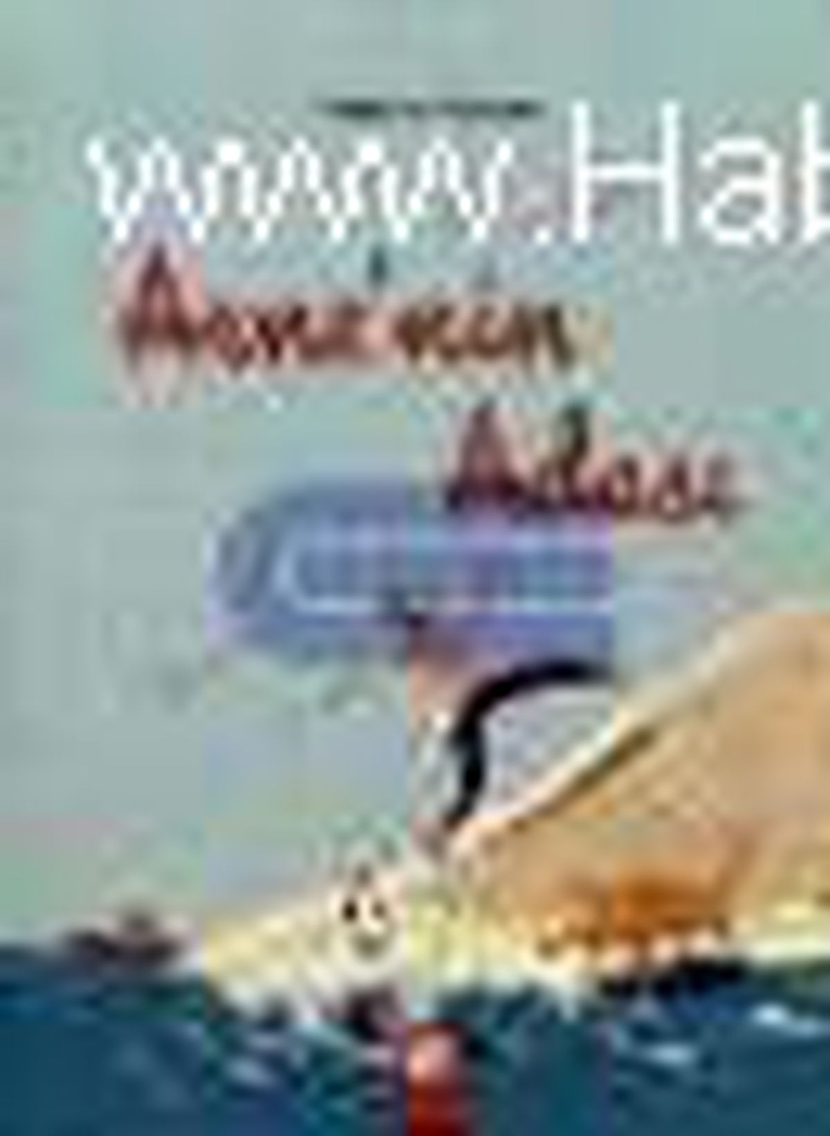 Arne\'nin Adası Kitabı