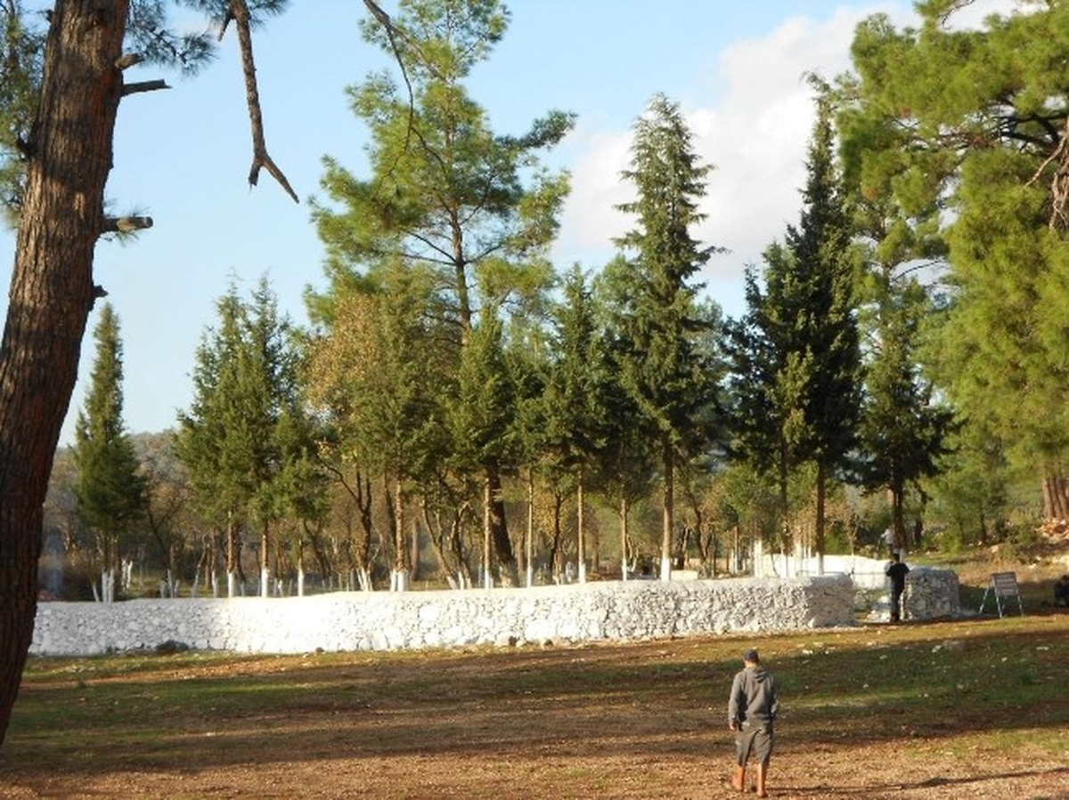 Bodrum Belediyesi Mezarlıkların Bakımını Titizlikle Yapıyor