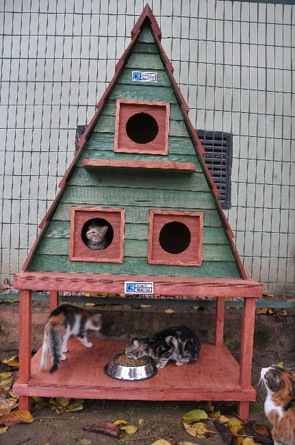 Dublex Kedi Villası