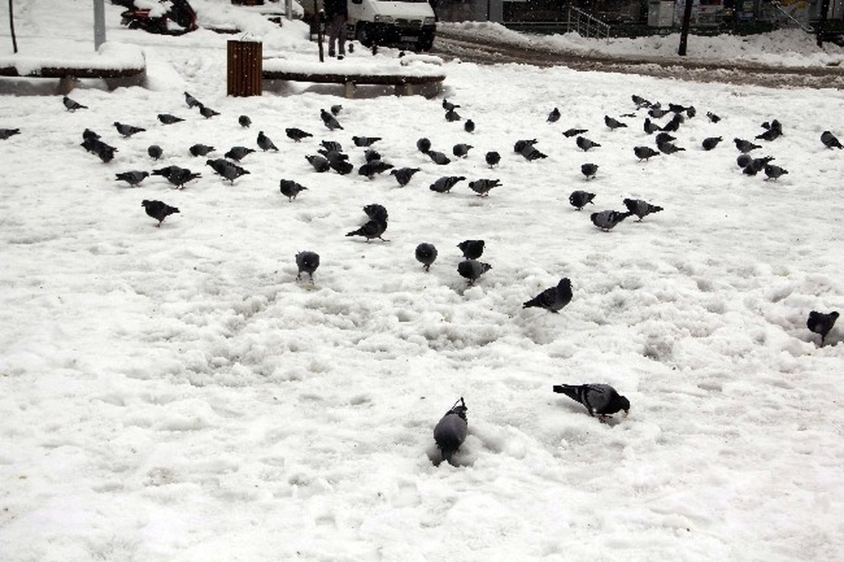 Karabük\'te Kar Esareti Sürüyor