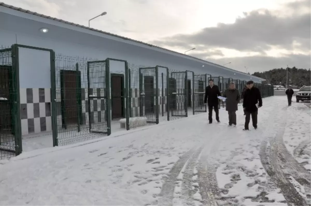 Kastamonu Belediyesi Çalışmalarını Hızlandırdı