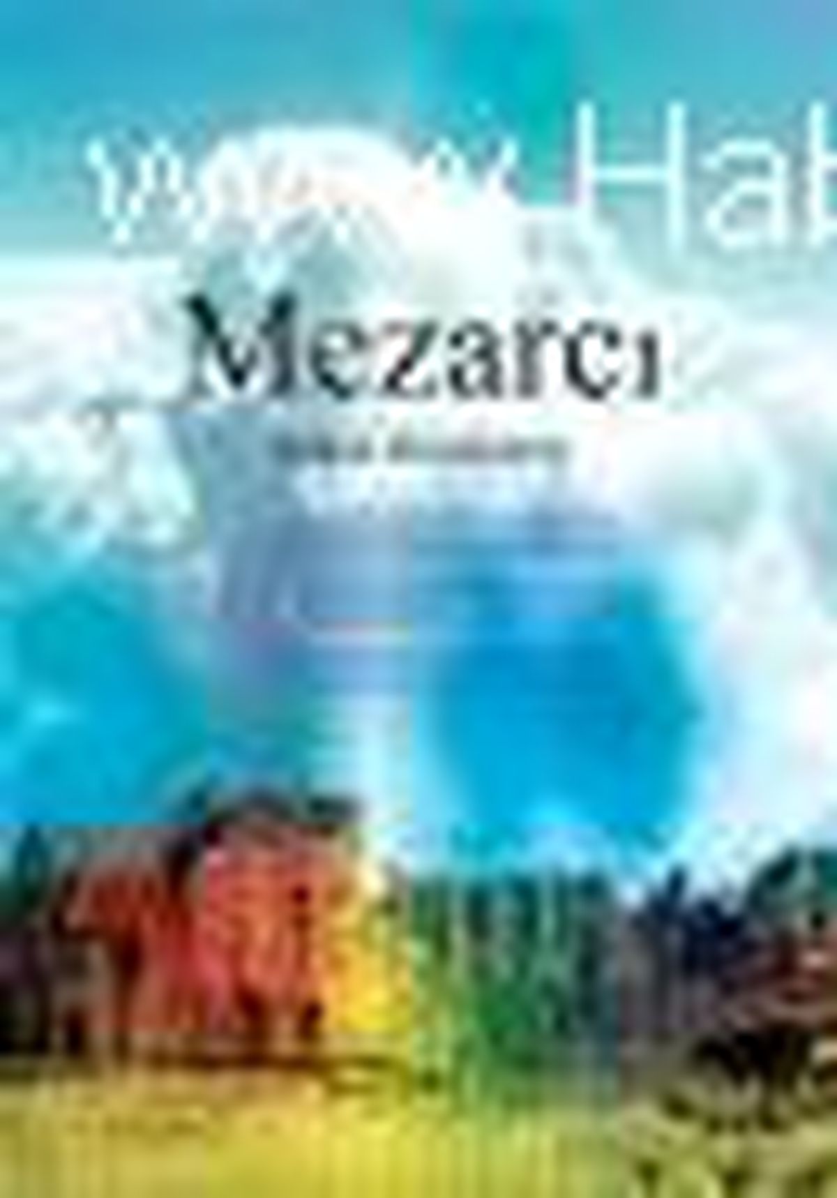 Mezarcı Kitabı