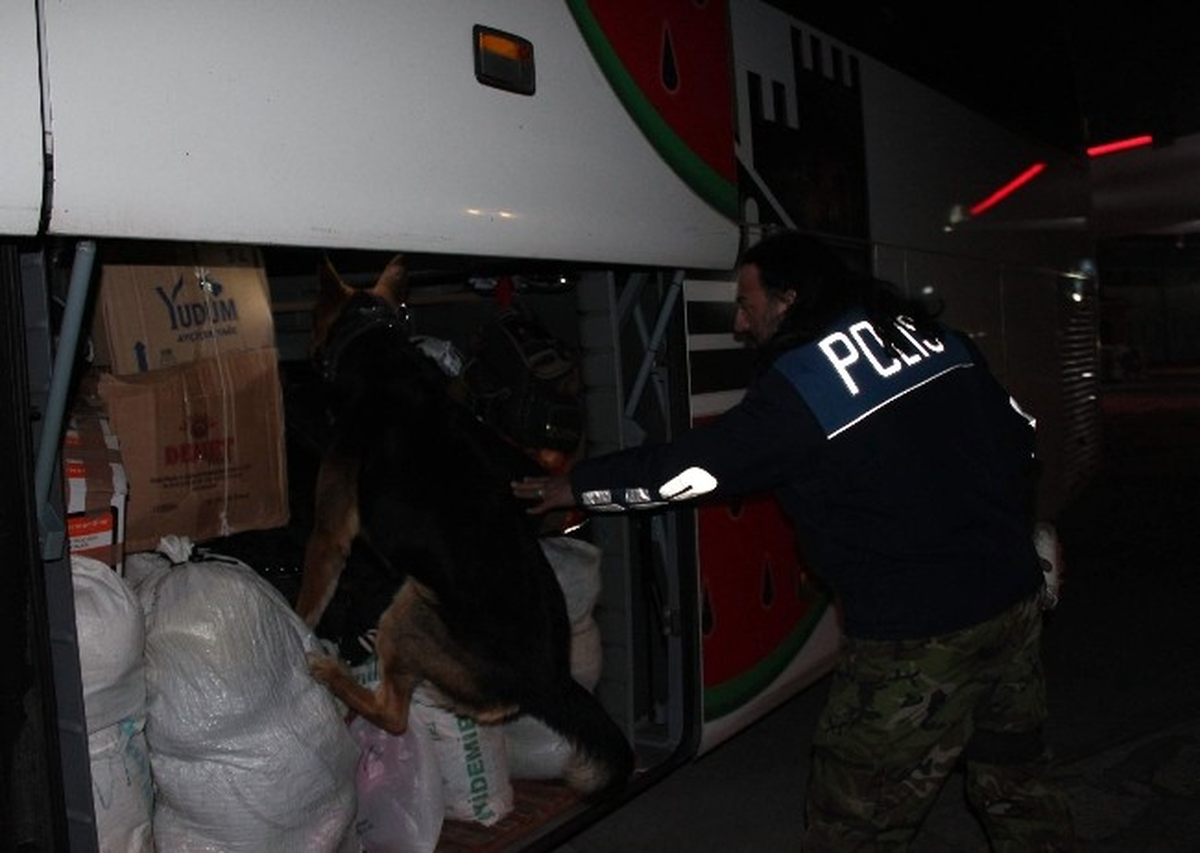 Narkotik Köpeği Ares, Otobüste 3 Kilo Kubar Esrar Buldu
