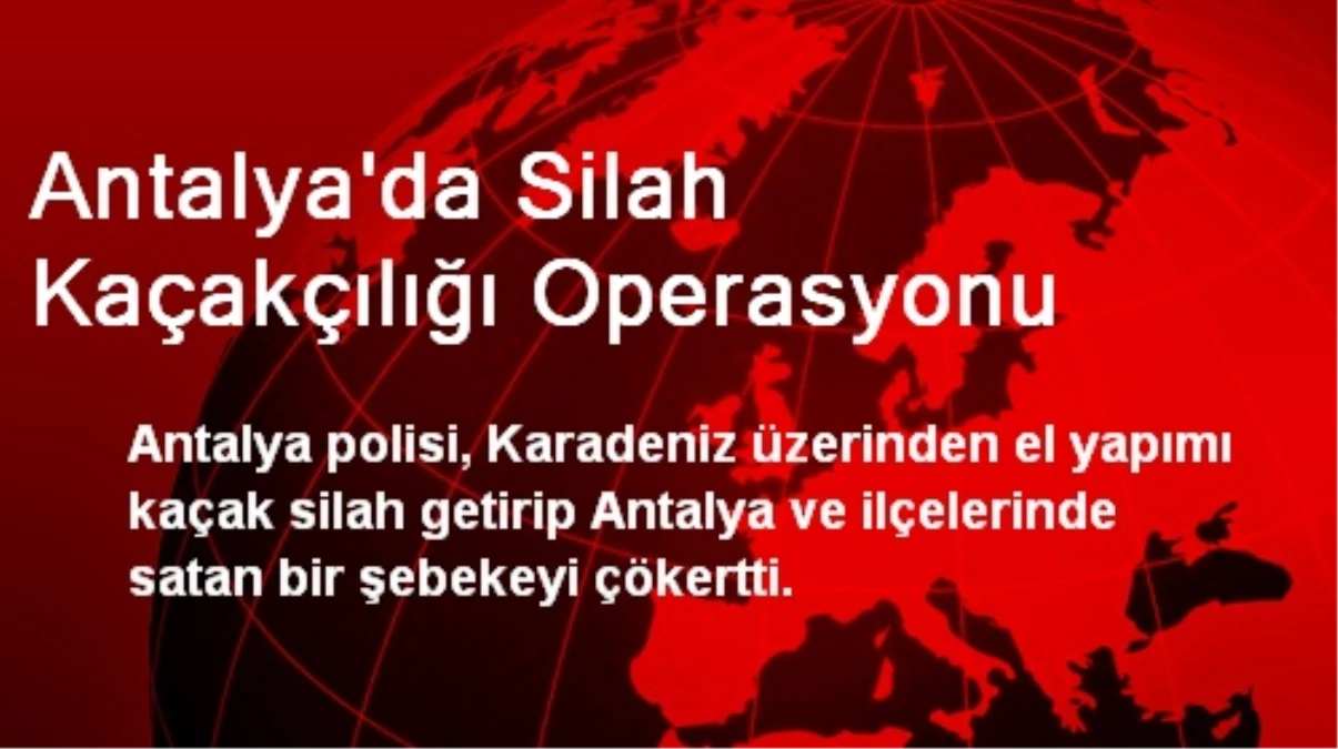 Antalya\'da Silah Kaçakçılığı Operasyonu
