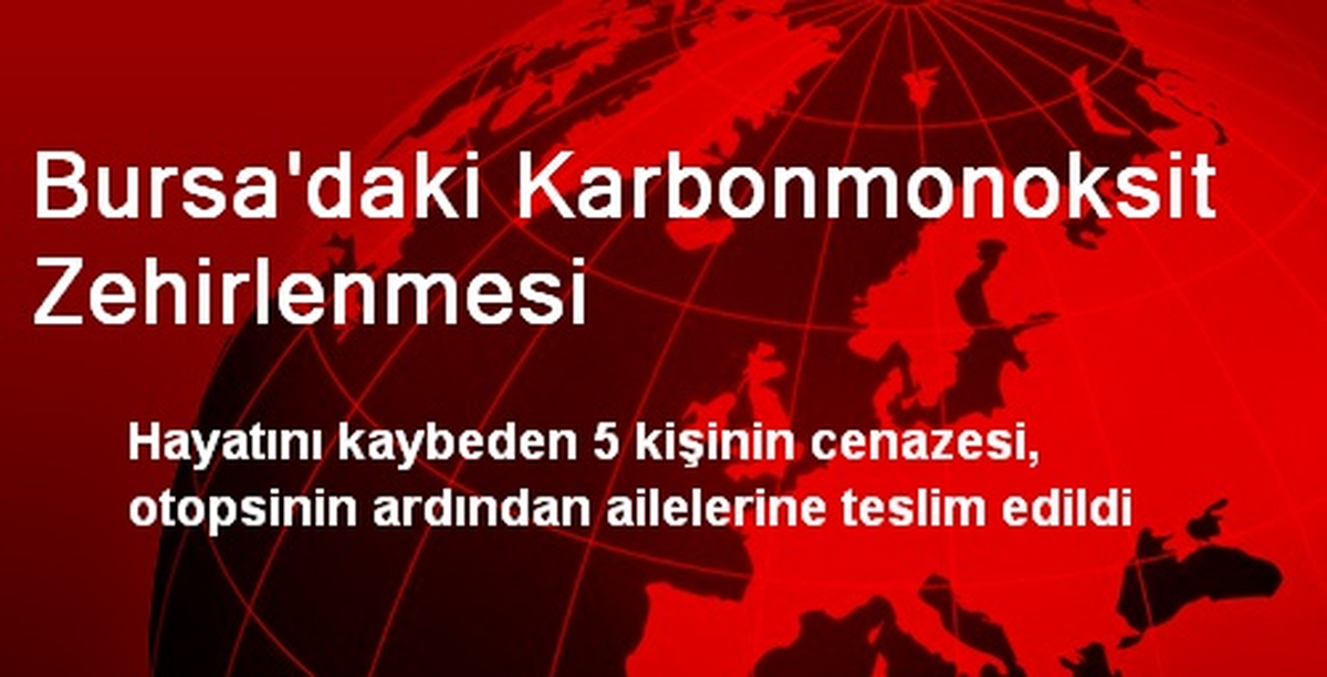 Bursa\'daki Karbonmonoksit Zehirlenmesi