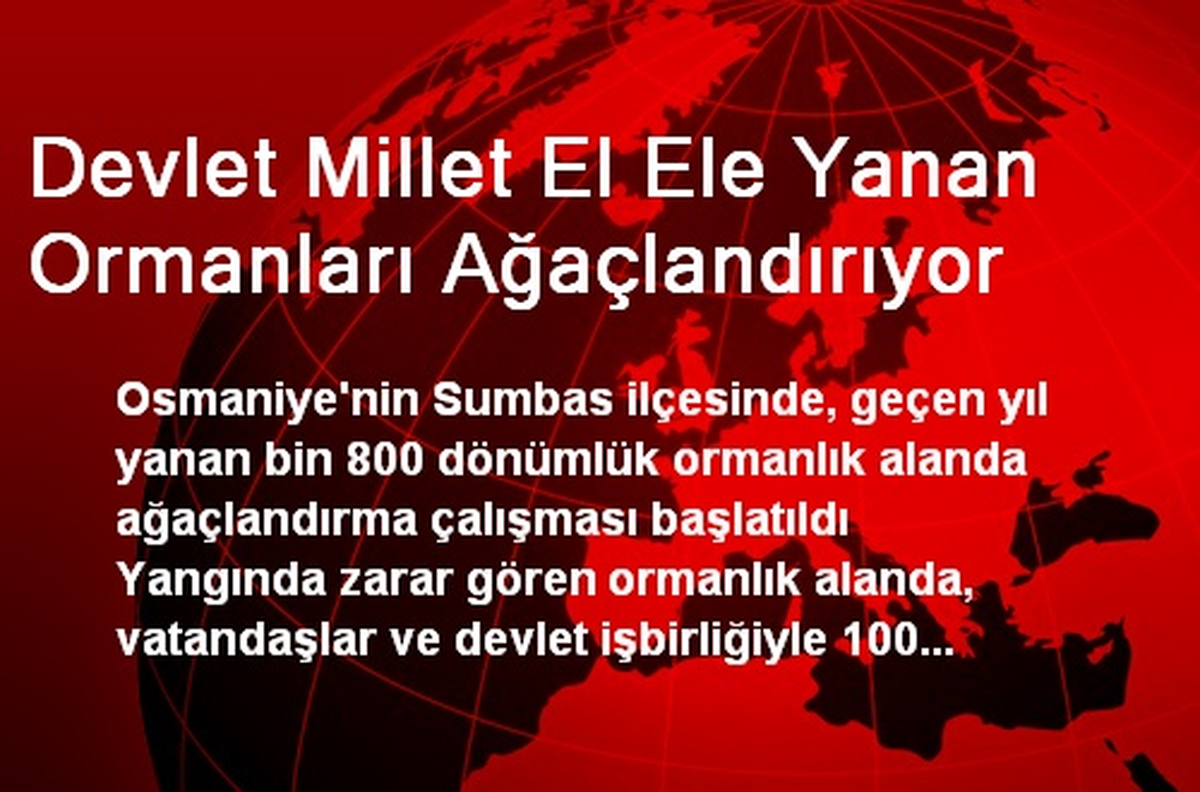 Devlet Millet El Ele Yanan Ormanları Ağaçlandırıyor