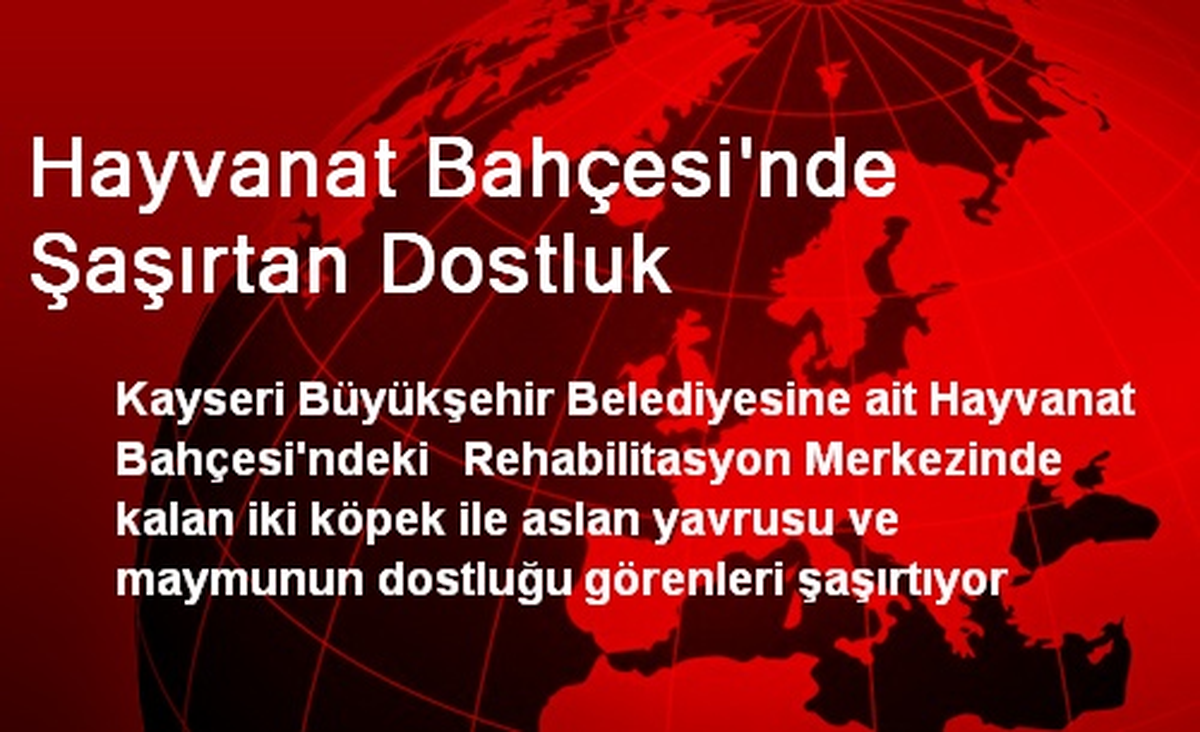 Hayvanat Bahçesi\'nde Şaşırtan Dostluk