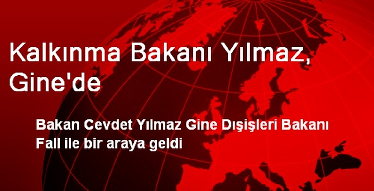 Kalkınma Bakanı Yılmaz, Gine\'de