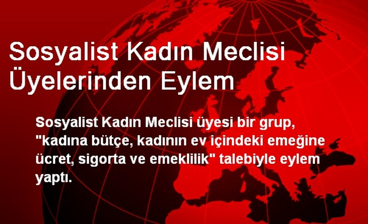 Sosyalist Kadın Meclisi Üyelerinden Eylem