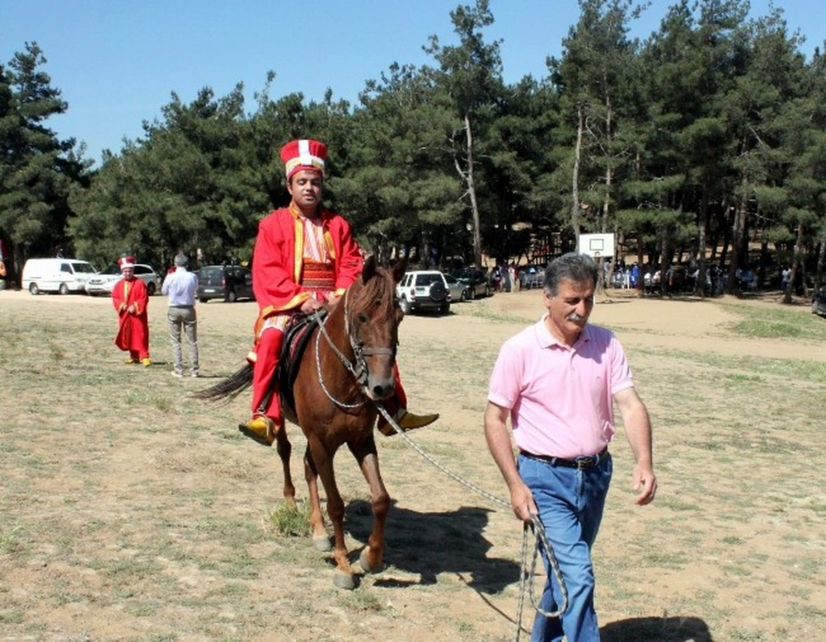 Terapide Kullanılan Yarış Atı Ortada Kaldı