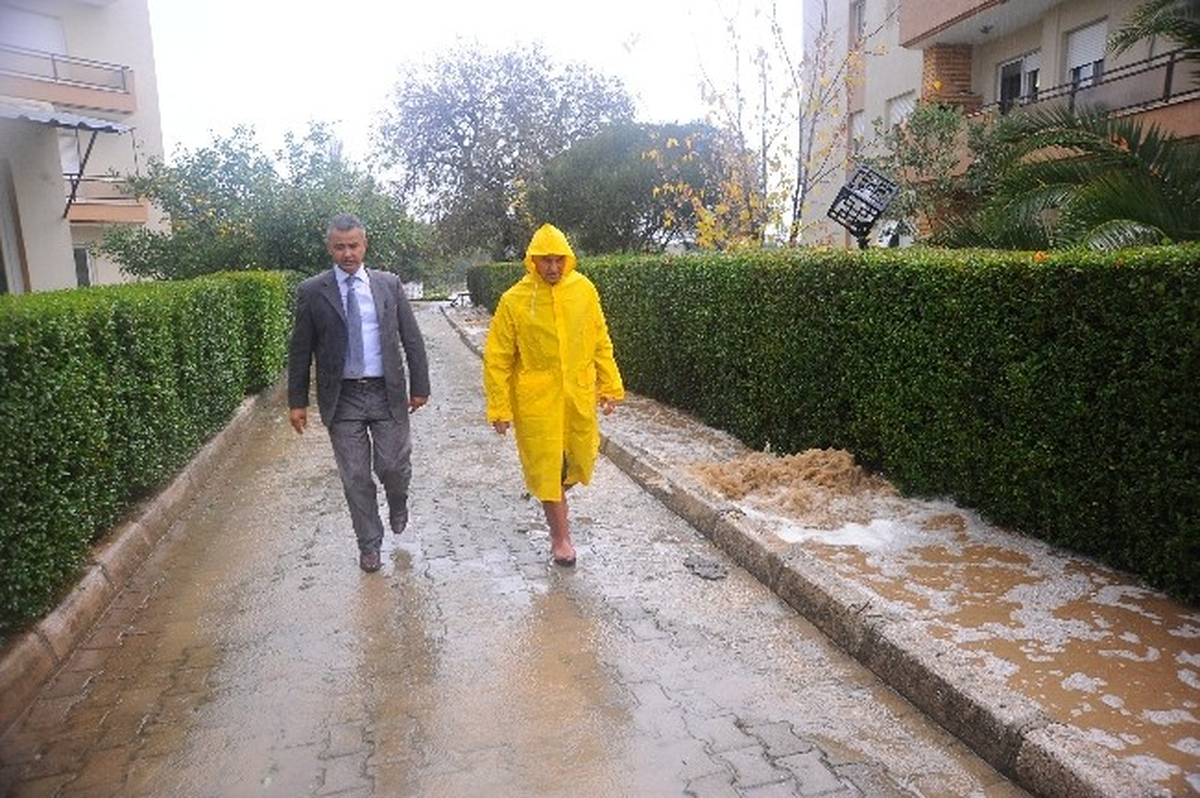 Seferihisar\'da Yağmur Yaralar Sarılıyor