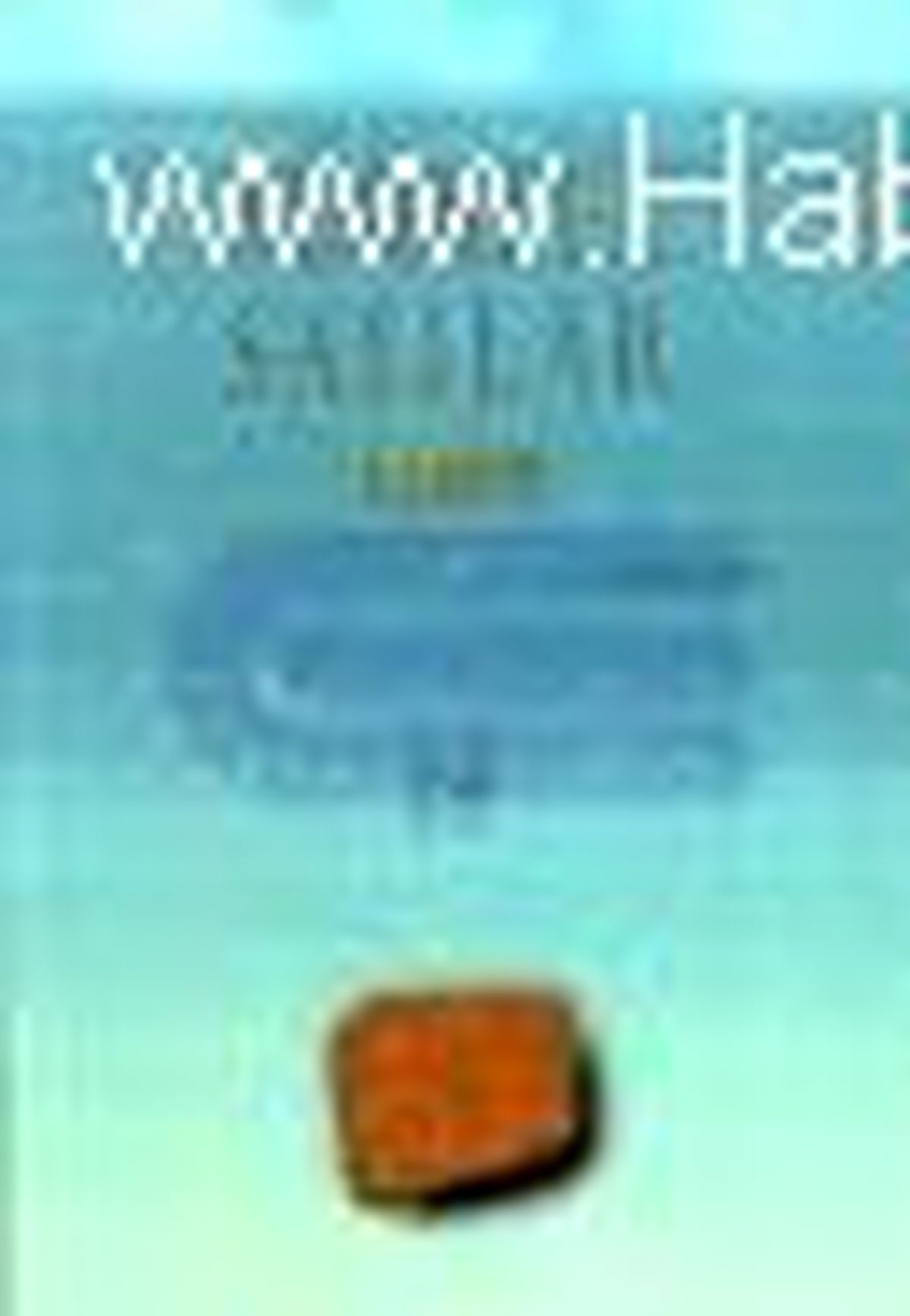 Sürreel Sayılar Kitabı