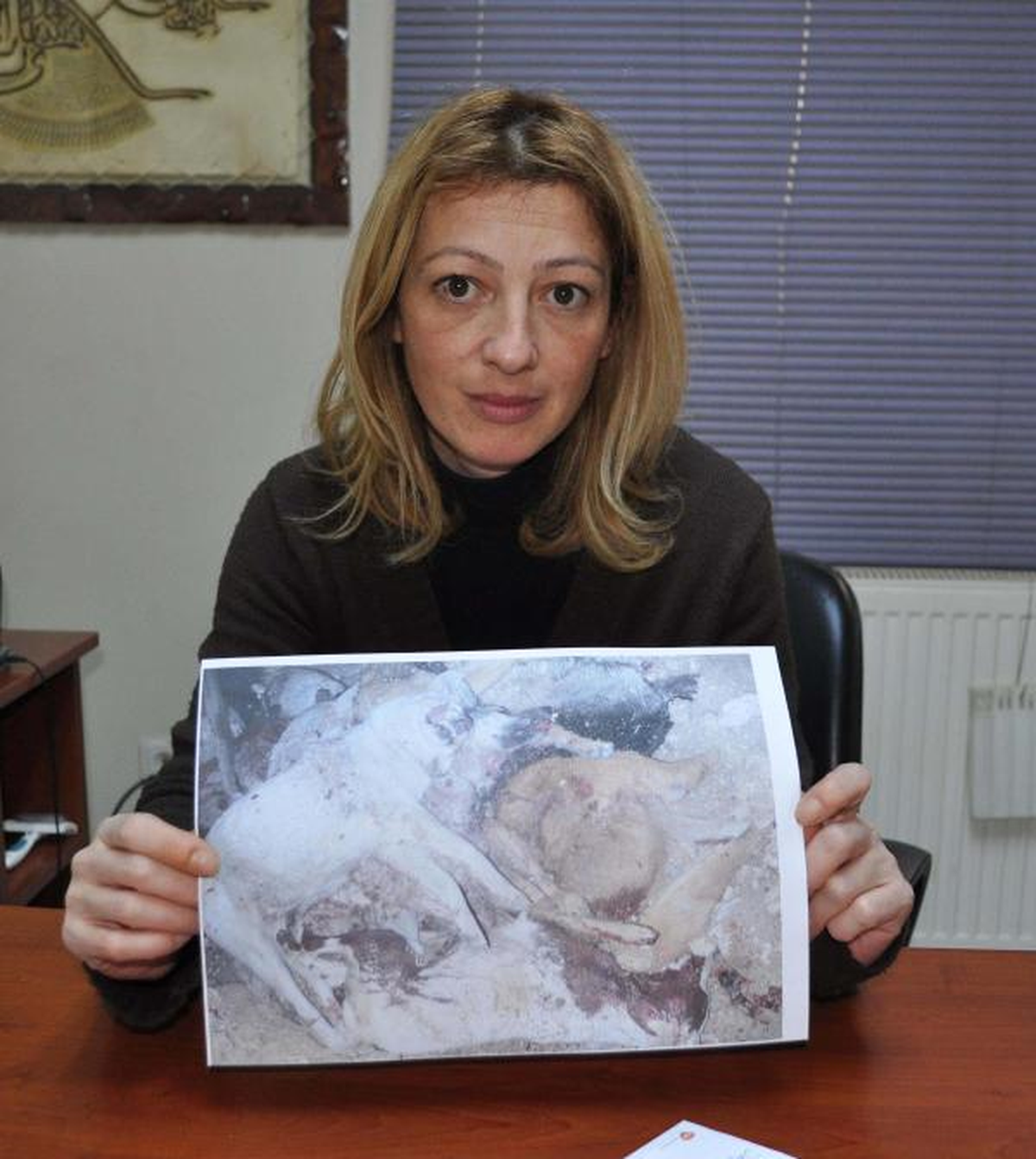Uşak\'ta Köpek Katliamı