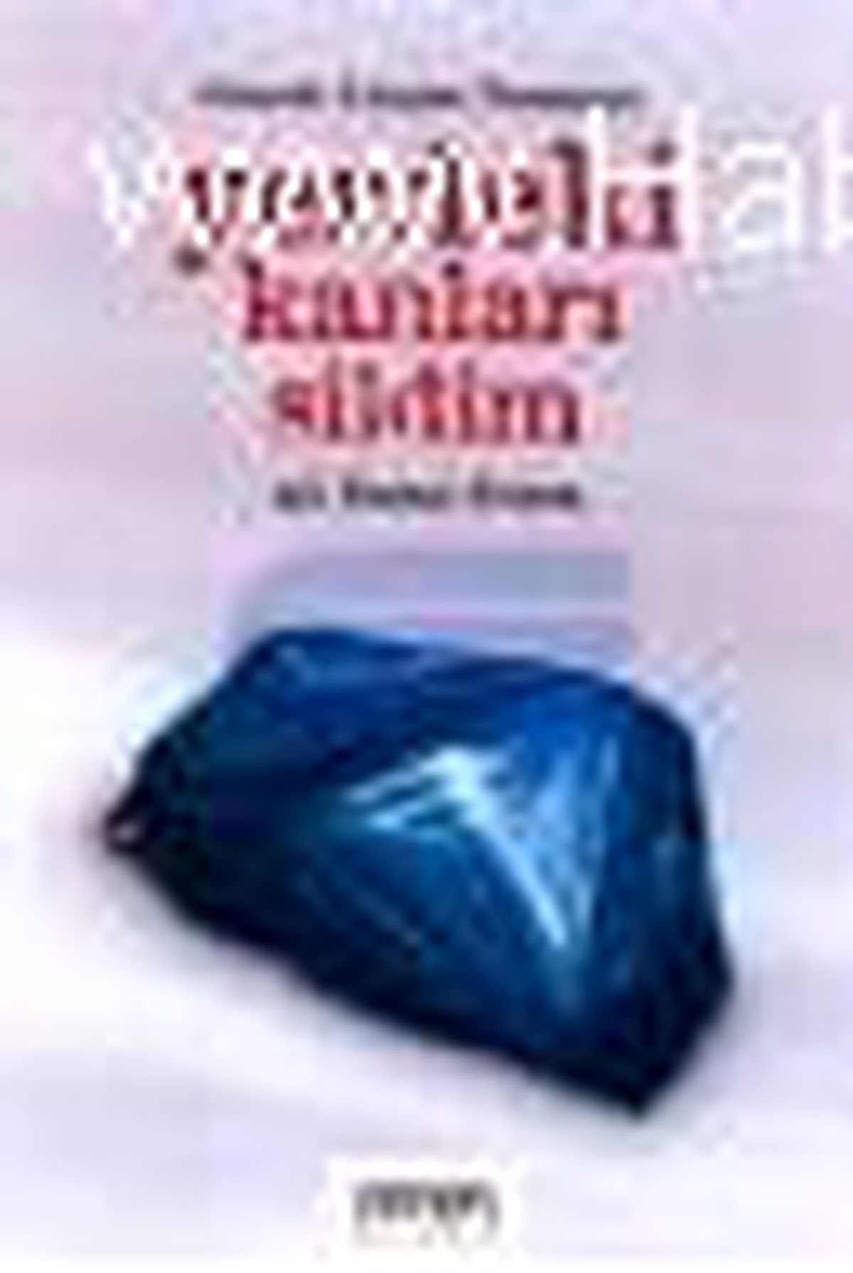 Yerdeki Kanları Sildim Kitabı