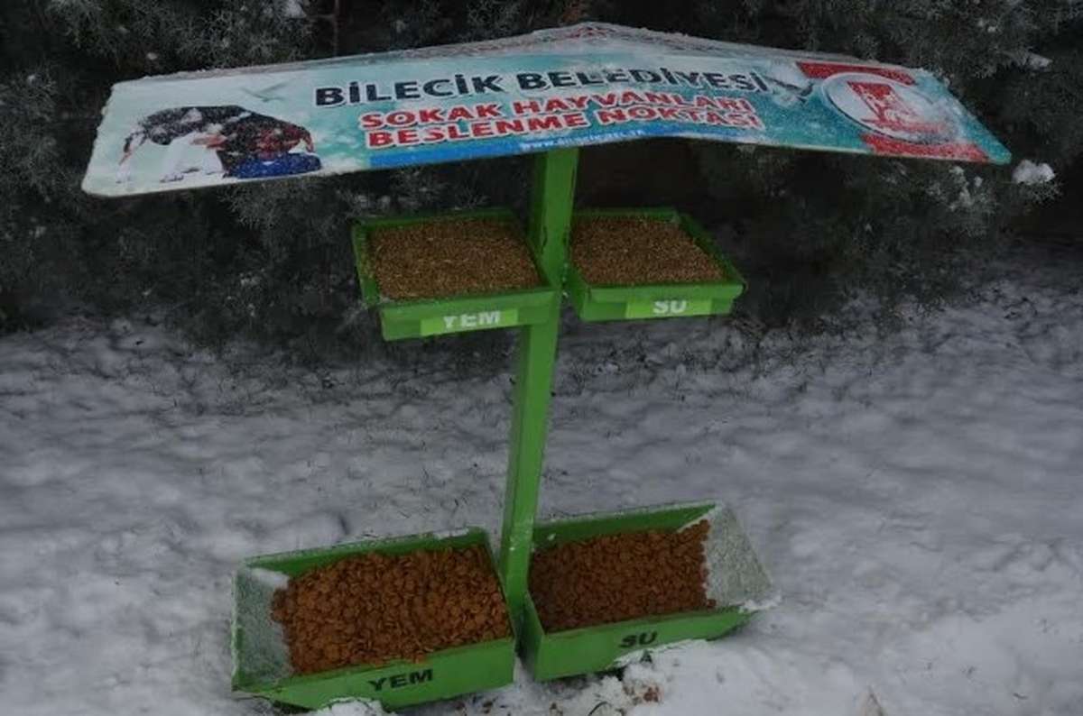 Bilecik Belediyesi Sokak Hayvanlarına Yem ve Barınak Desteği Sağlıyor