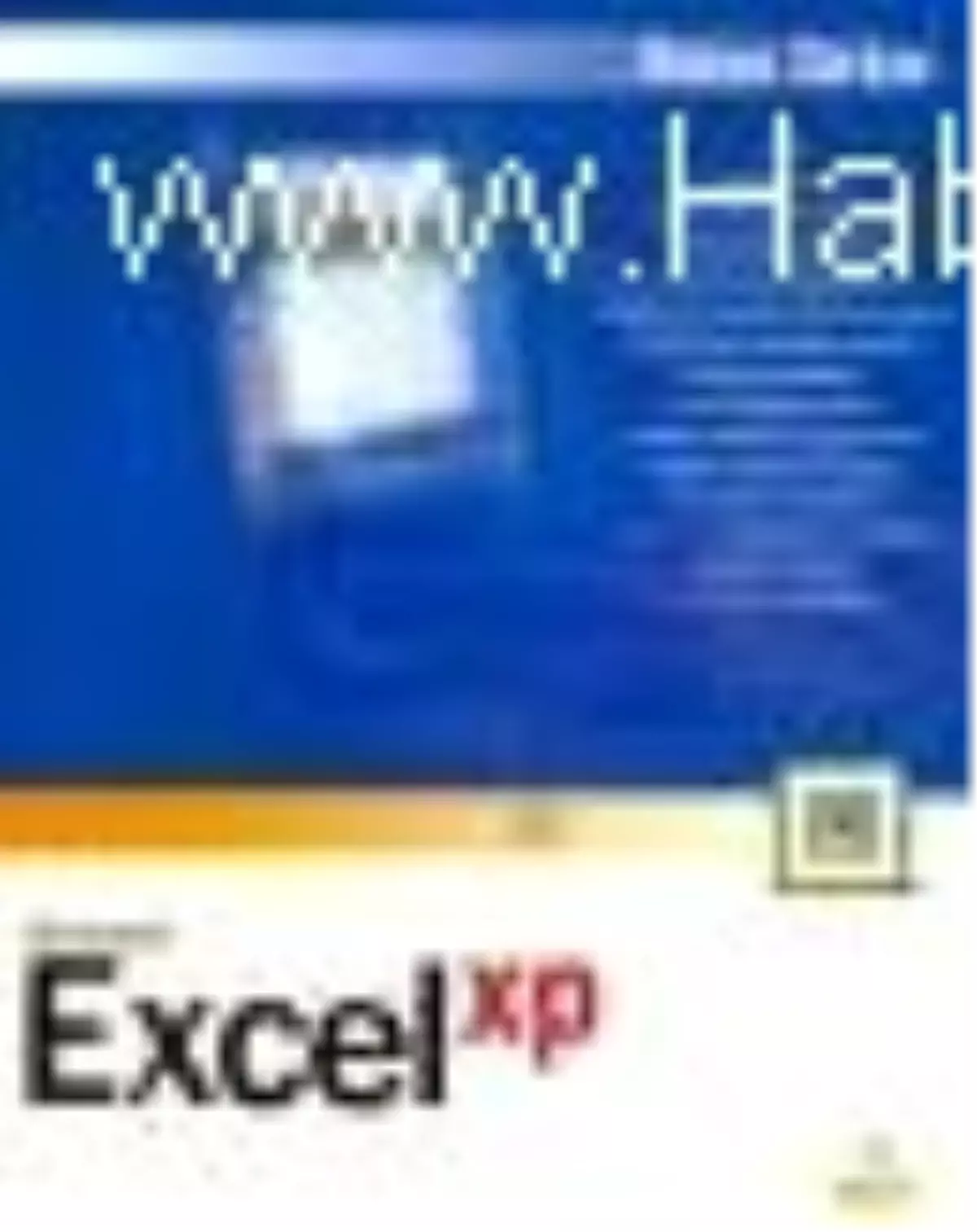 Excel Xp Kitabı Çıktı