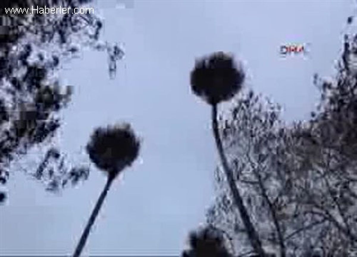 Gazipaşa\'da Rüzgar Ağaçları Devirdi, Çatıları Uçurdu