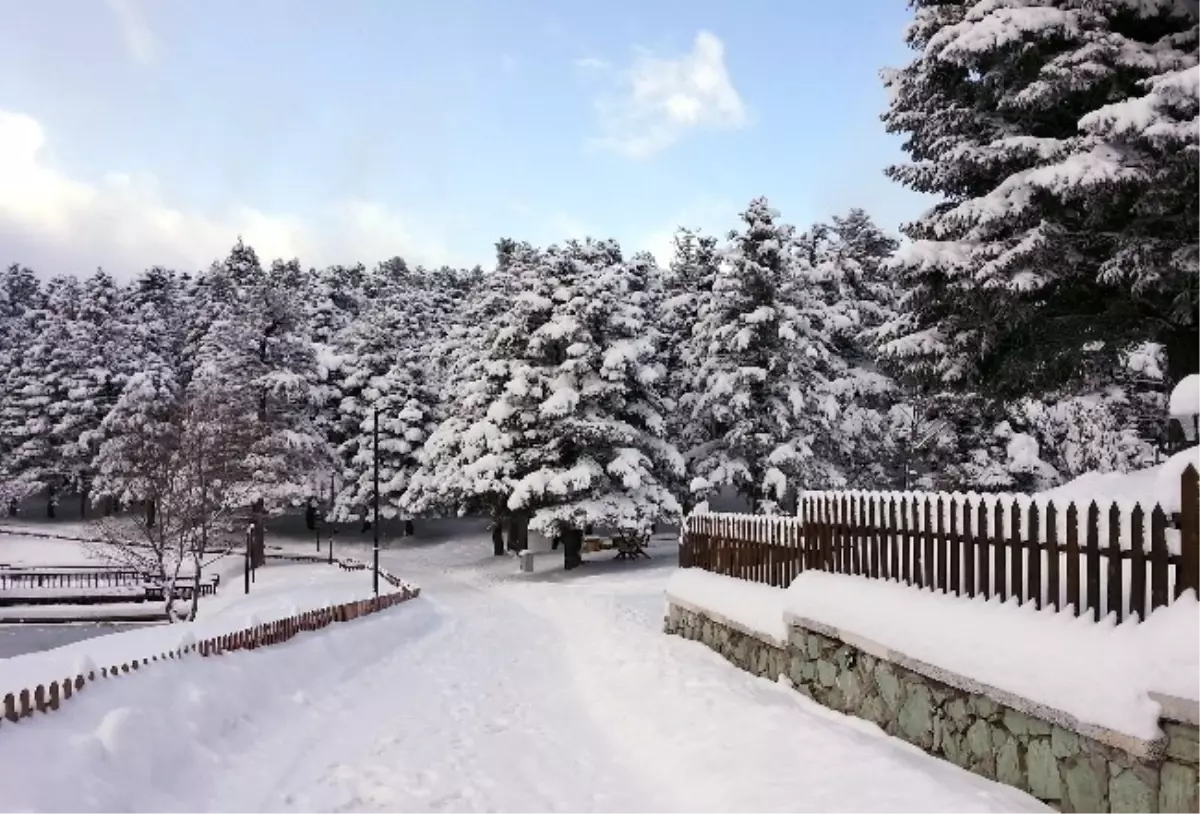 Gölcük Tabiat Parkı\'ndaki Göl Dondu