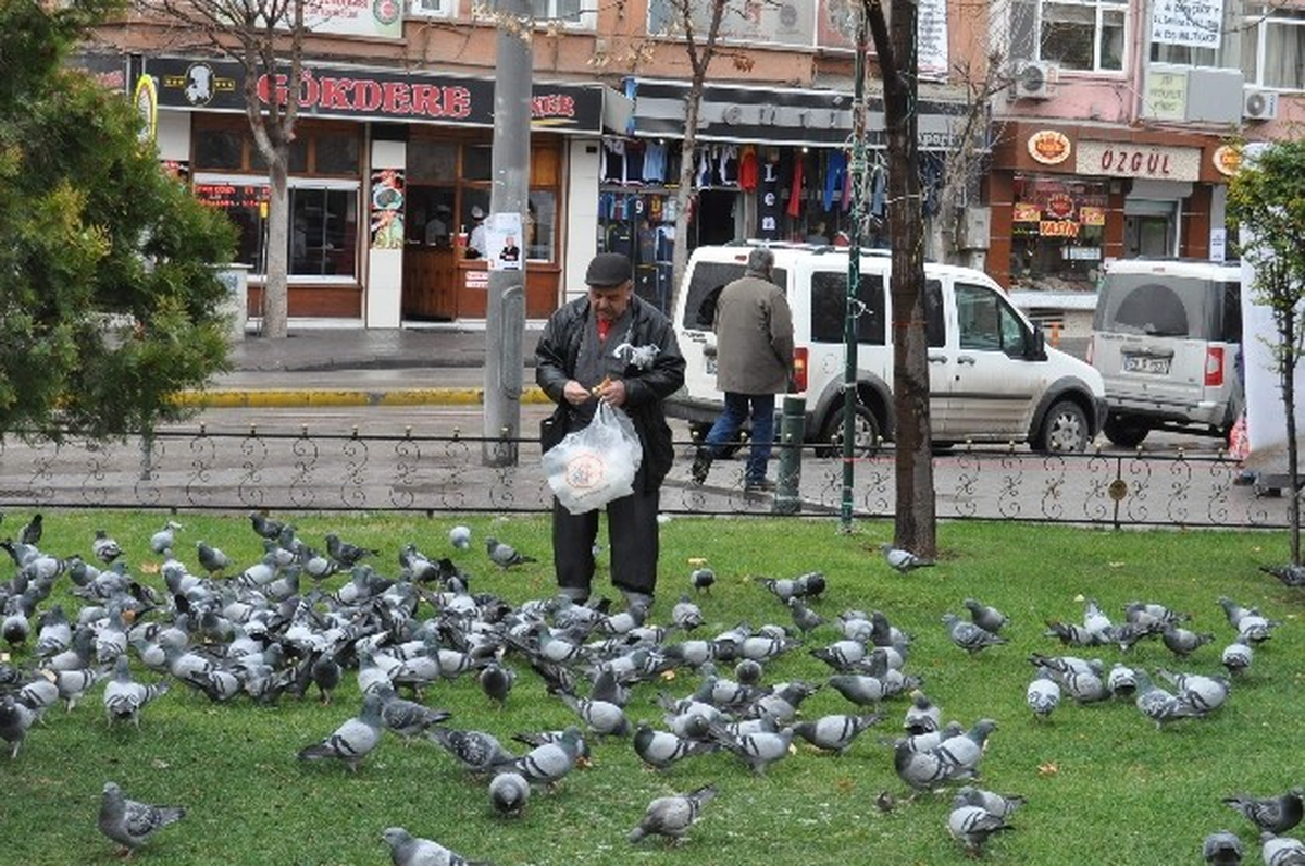 Güvercinlerin Yardımına Vatandaşlar Koşuyor