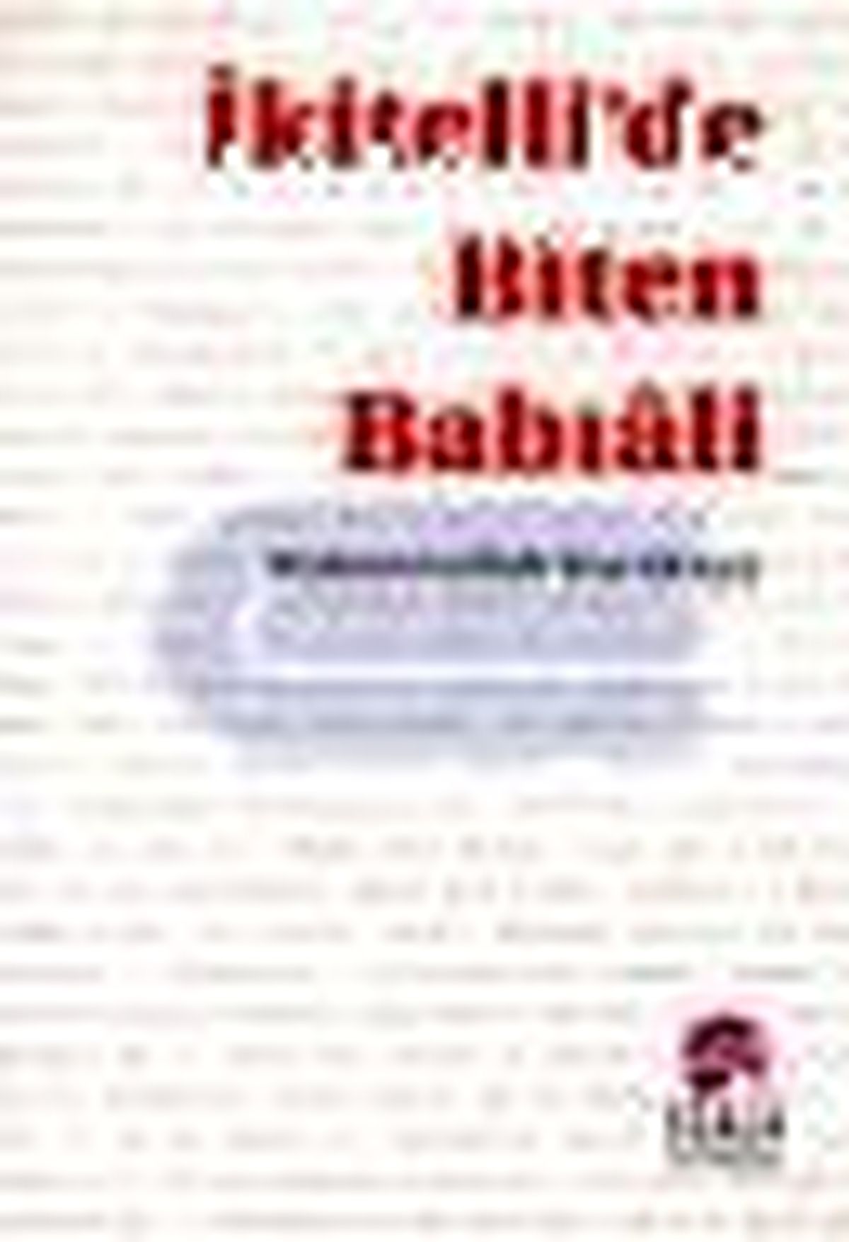 İkitelli\'de Biten Babıali Kitabı