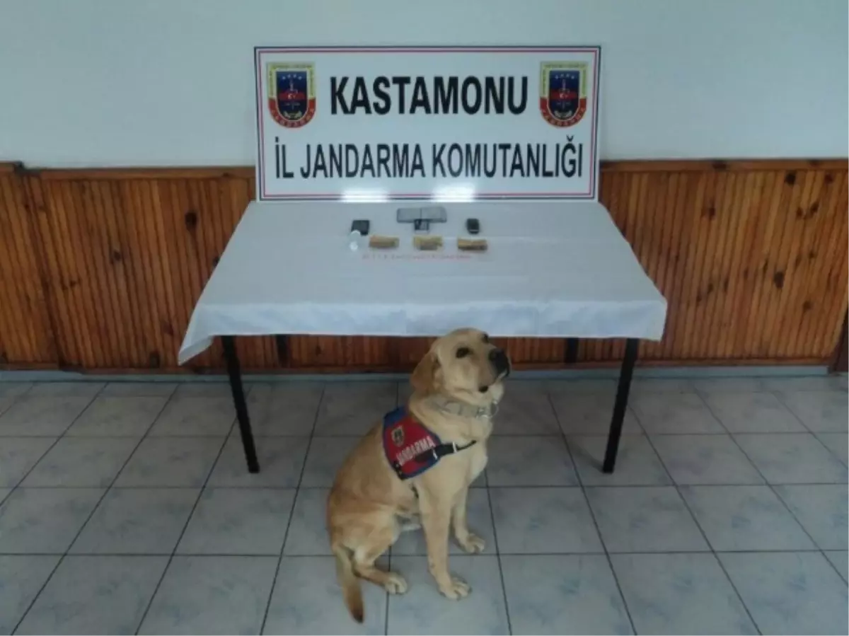 Kastamonu\'da Otomobilde 45 Adet Ecstasy Hap Ele Geçirildi