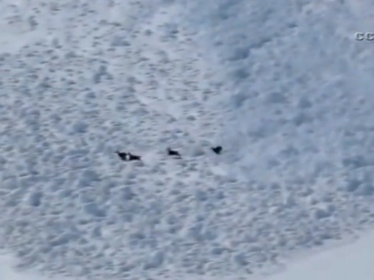 Keçilerin Dağdan Düşen Çığdan Kaçış Anı