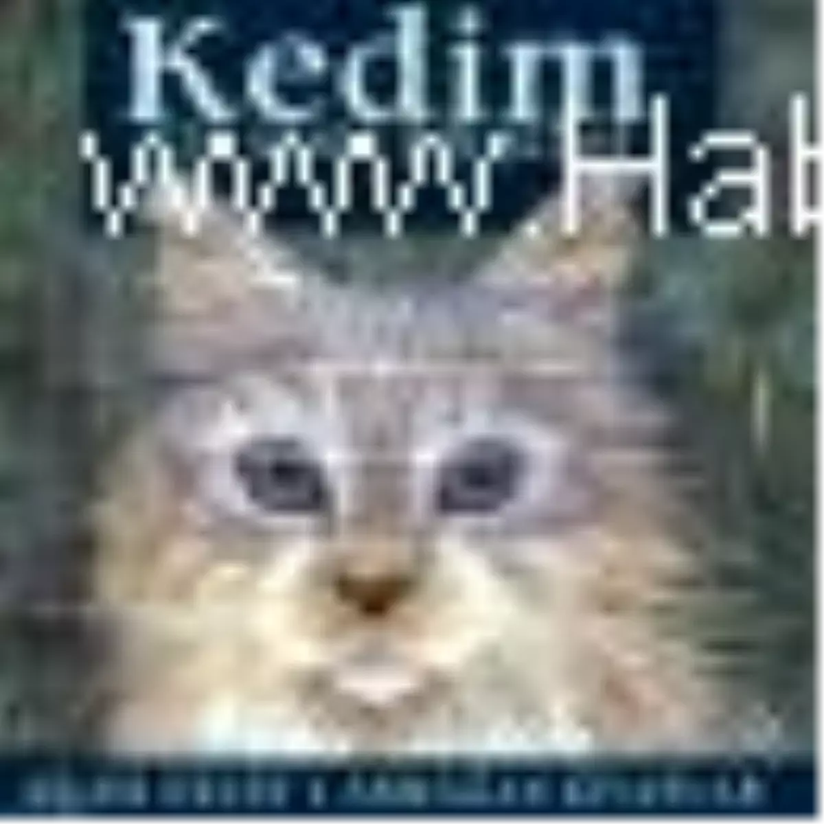 Kedim İçin Minik Bir Kitap Kitabı