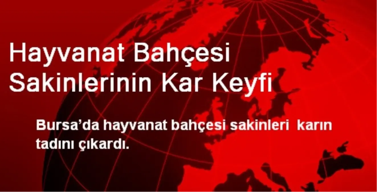 Bursa\'da Hayvanat Bahçesi Sakinlerinin Kar Keyfi