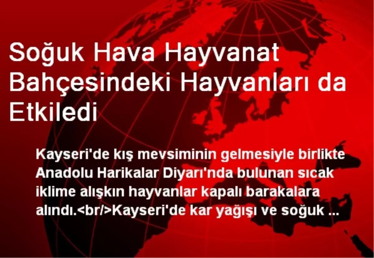 Soğuk Hava Hayvanat Bahçesindeki Hayvanları da Etkiledi