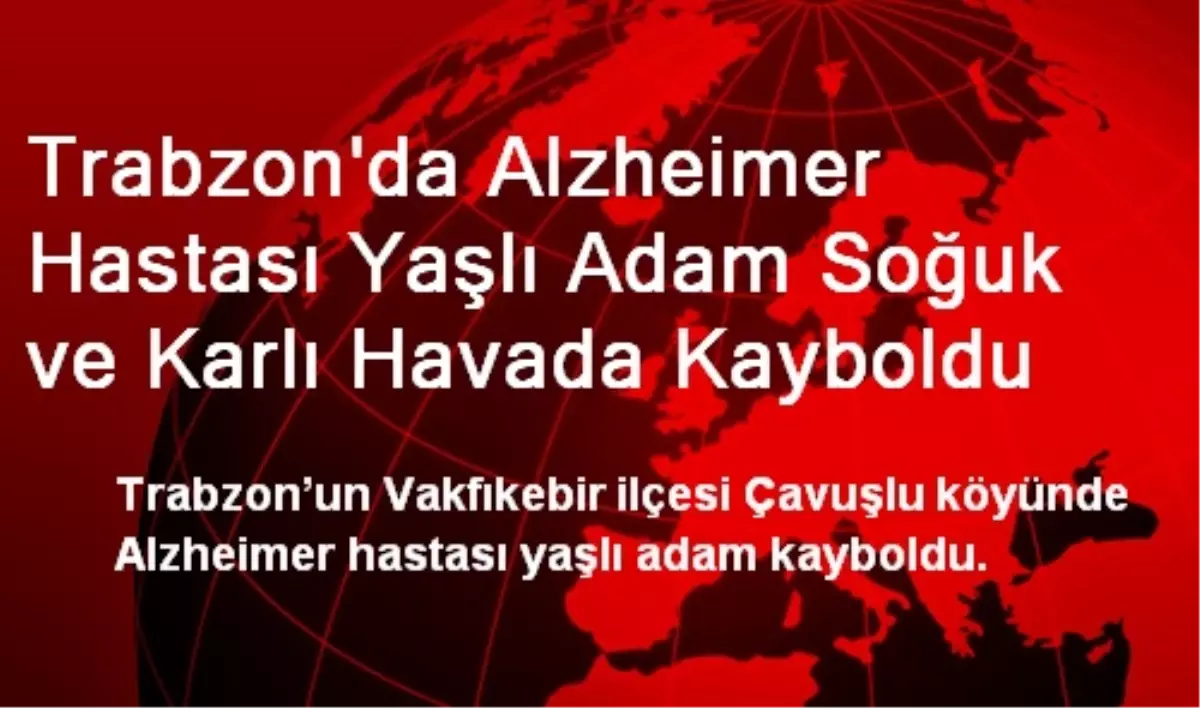 Trabzon\'da Alzheimer Hastası Yaşlı Adam Soğuk ve Karlı Havada Kayboldu