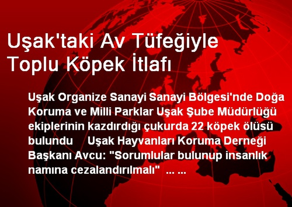 Uşak\'taki Av Tüfeğiyle Toplu Köpek İtlafı
